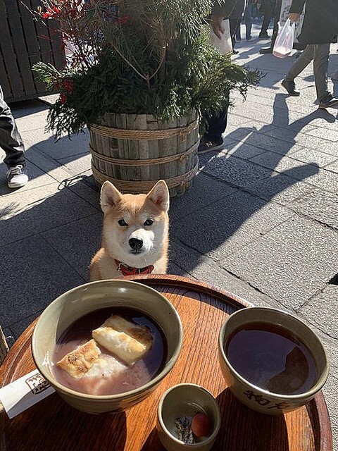 �Ƹ���ʬ���Ƥ�館�뤳�Ȥ򿮤�����̢��ֿ���ľ����Ʒ�ס֥����á�