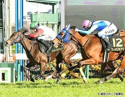 �Ϸ�����ȴ���Ф������󥿡��ߥå����ʺ��ˤϥ����޺��ǥե����ꥭ��������ɤ��ऱ��