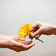 �֤���Ϥ�