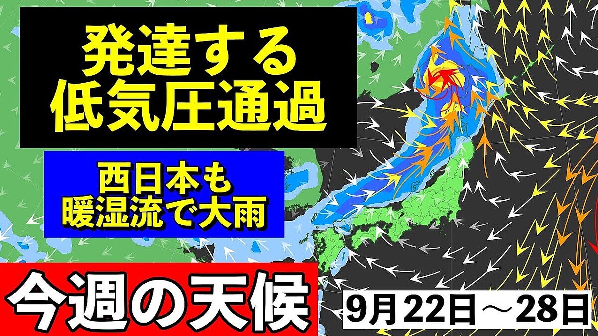 ����ͪ����������ܤ���Ӥ�ζ���׽���Ⱦ��������ϩ�ˤ�ٲ��ƤӤ���