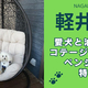 Ĺʷڰꥢˡ۰ޤ륳ーڥ󥷥󡦥顦ڽ10ɥåդ䰦ѥ˥ーλߤʤǤーȤ