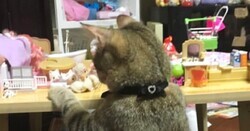 Х˥եߥ꡼ΤͷǤޤޤ ̣šǭ