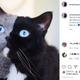 2�ȡ��󥫥顼���Ĥ�Ʒ���������ͥ��ʲ����ϡ�AMAZING NARNIA Double Face��2019ǯ8��5����Instagram��What do you think Narnia looks like ?�ס٤Υ����꡼�󥷥�åȡ�