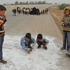 ���ﲼ�Υ��ꥢ��������͡��ο����� �ĶȤ��Ƥ������Ź�Ͼ��ʤ�