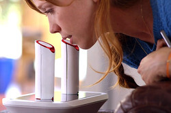 륳ߥ˥ǥoPhone DUOפβǽͽ򳫻