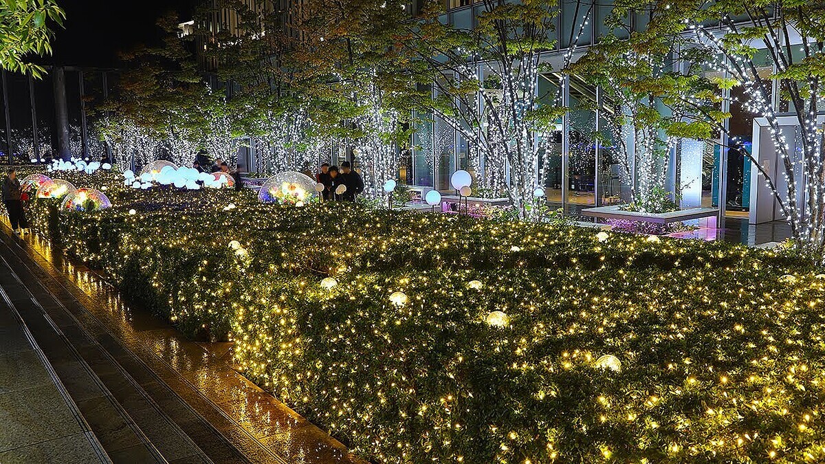 ���٤Υϥ륫���ǡ�ŷ���Υ���ߥ�ー�����ס��͵��β������������̵��