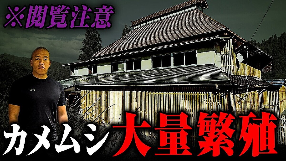 �֥���ॷ�����Τ���Ƥơġ������17%Ķ������¼̱��ʪ����μ��֤��Τ���������򤬤狼��