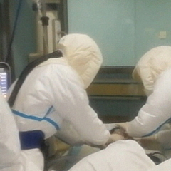 ����Ԥ��������֤����̤���ͳ������ͤ˸¤���¤� ��ǰ������