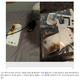 �ƹ�ǥ��ॹ��Υ���饯������S3�פ���ȯ�����桼�������ڵ�̿���Ǻ�