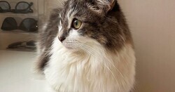 ƤʤʤƤǭ êüǤäȤƤ