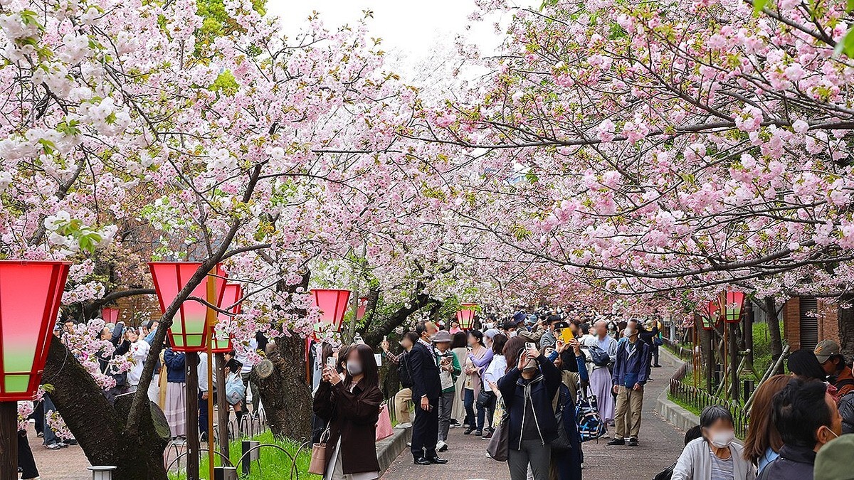 ���νդ���ʪ����¤ʾ�� �����̤�ȴ���׻Ϥޤ롡140�ʼ�331��