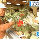 JRT四国放送