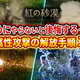 最速・わかりやすい・面白い！ 最新ゲームを徹底解説する攻略クリエイター！『ぴろちゃん -ゲーム攻略・情報ch-』を紹介！ チャンネルウォッチ 8/28号