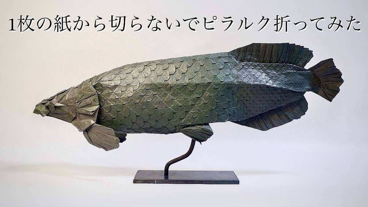 �ޤ�楯�ꥨ����ー��̥�����ˤΥ�ー�ȡ�150cm�λ椫����Ĺ60cm�Ρ֥ԥ�륯�פ����߽Ф��ä����������