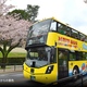 混雑回避し “桜と同じ目線”でお花見！はとバス2階建てオープンバス「東京さくら回廊」で千鳥ヶ淵の桜トンネルを、3/20から期間限定運行