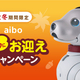 ���ˡ����ȥ���aibo�İ������ȥ��ˤ��ޤ������ڡ���٤�»�