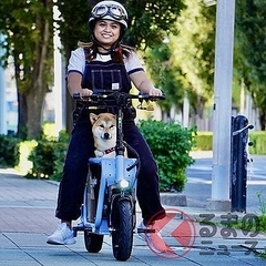 ȤΡְưμפ꾮դưХȯ