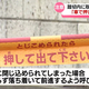 KNB����������
