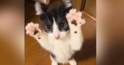 ­Ωäƻäǭ Х󥹴Ф˸Ω