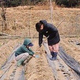 ������Ȫ�ǿ����٤äƤ���Τϡġ�@farm_docan���󶡢������ϥȥ�ߥ󥰤��Ƥ��ޤ�