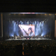 ZARD��35��ǯ�饤�֡�forever moment��������ʤ���39�ʴ�����Ͽ�ܺ�������MC�����䥪�ե���åȤ�