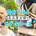 ڸȤФ ̾Ųǥ륳ーǽ