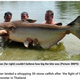 体重190キロの巨大なナマズ（画像は『Metro　2022年12月19日付「Brit catches huge 30 stone catfish while on holiday in Thailand」（Picture: BNPS）』のスクリーンショット）