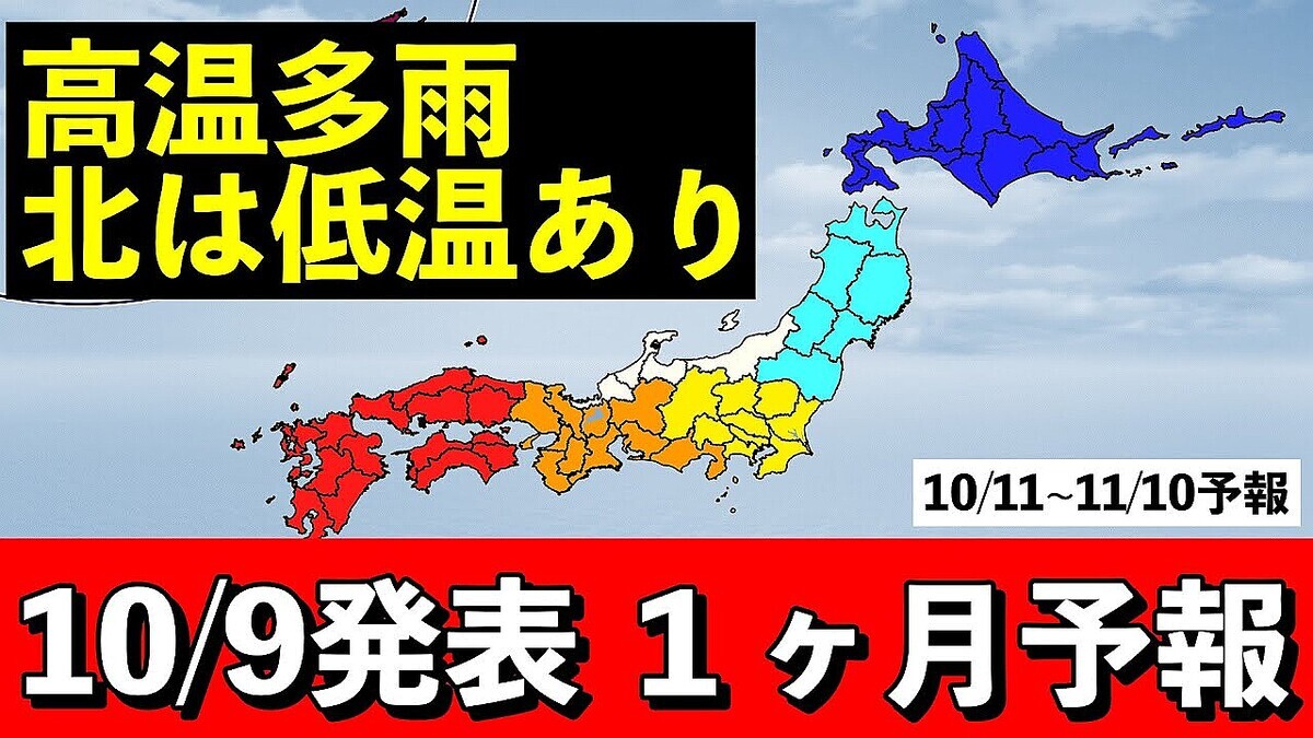 ����ͪ�����̤��㲹����Ϲⲹ��¿��������ŷ����ʬ�ǡɤ����ա�