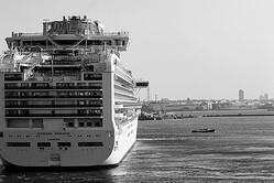 ����к��˥��롼�����ļ��Է����֤����ܤϺ��������������� - ��������