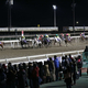 「ホッカイドウ競馬」門別競馬場の全レース生中継を「ニコニコ競馬チャンネル」で開始