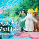 ��������ڤ�����ー�ߥ�Х�ー��ー���ǡ��߱��Τ��Ф��������äȹ����ˤʤ롪��ー�ߥ�ë�ȥ���֥��֥���֥�饹�����Ȥ���������ー�ɡס��ֱ���������ץ쥼��ȥ�����ー���2026ǯ5��16�����ڡ˥���ー�ȡ�
