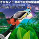 TOCOL����˥С�����ǥ����󡦥��ޥ�ŷ��˾�����PalPANDA�פ�ȯ��