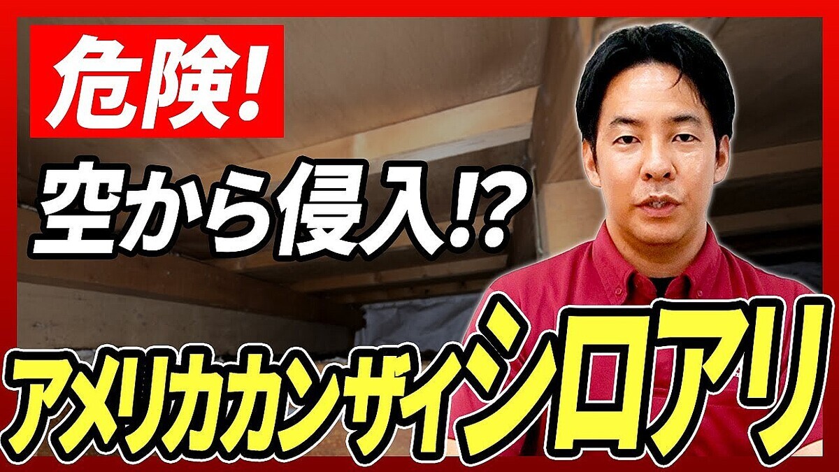 �������������θͷ������ա۾�����������ʤ�������΢�򽱤��֥���ꥫ���󥶥�����������к���ץ�������