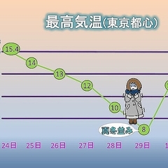 �ᥤ�����